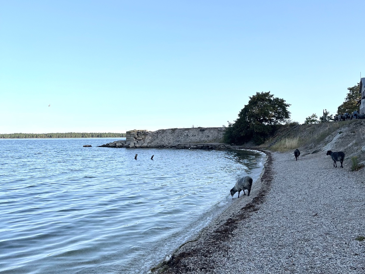 Bungenäs bild 4
