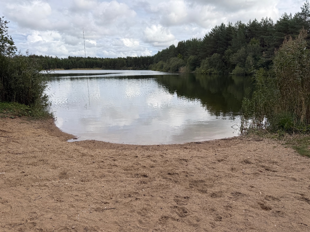 Bild från Follingbo träsk
