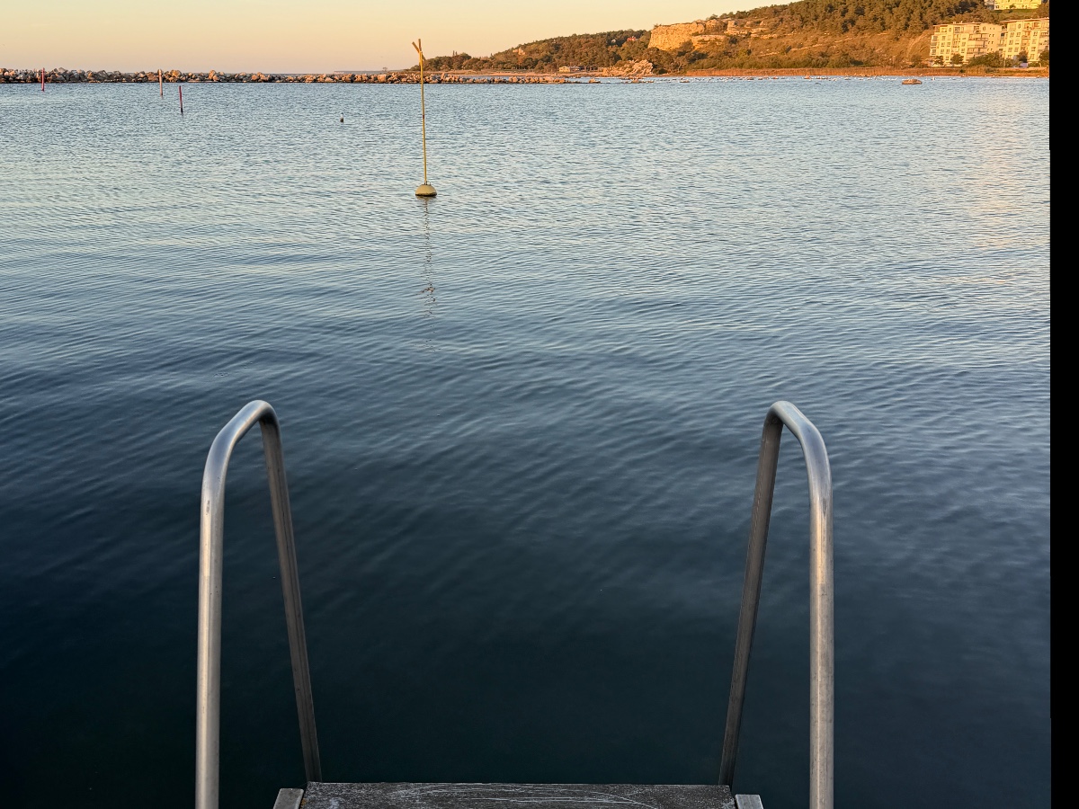 Flundreviken bild 5