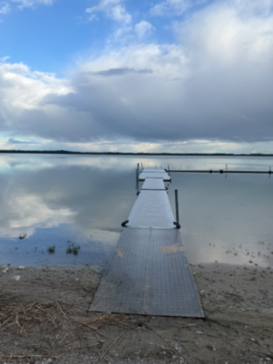 Tingstäde träsk bild 6
