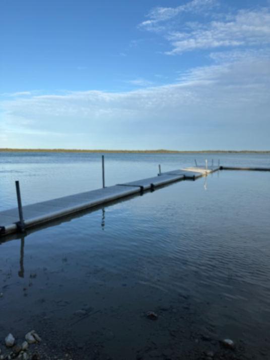Tingstäde träsk bild 7