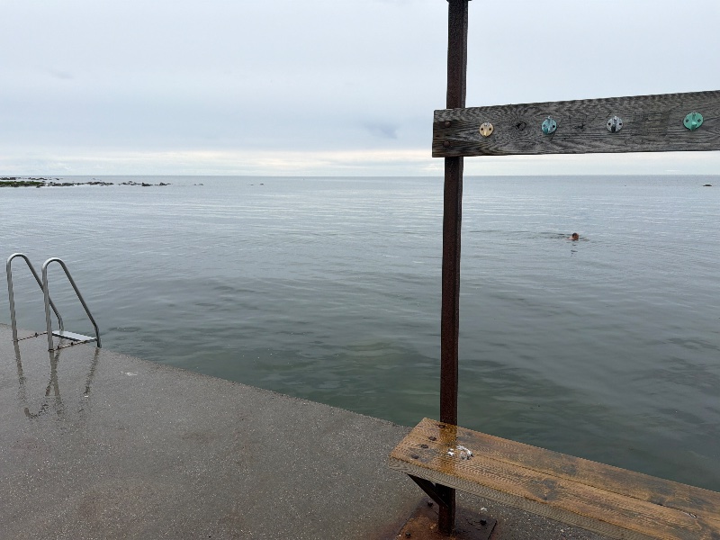 Bild från Gustavsvik