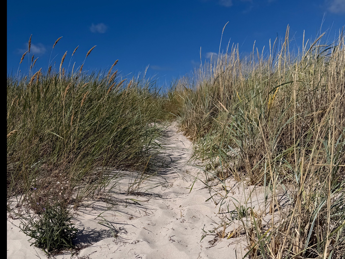 Sudersand bild 10