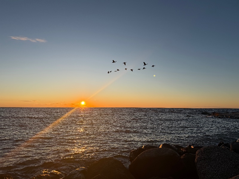 Bild från Själsö hamn