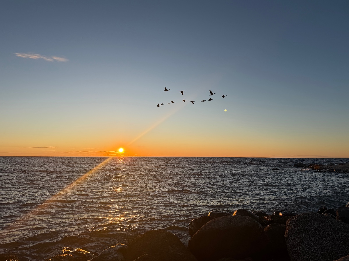 Själsö hamn bild 11