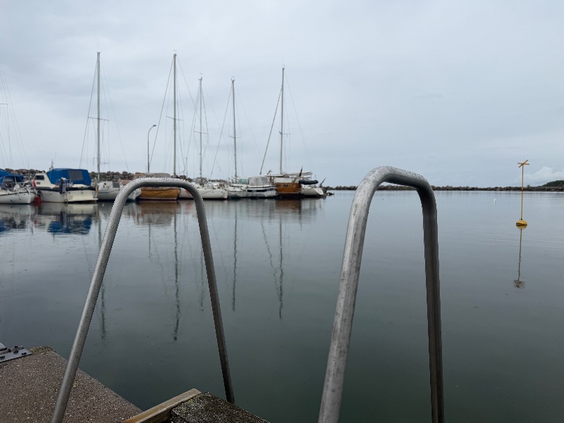 Bild från Flundreviken