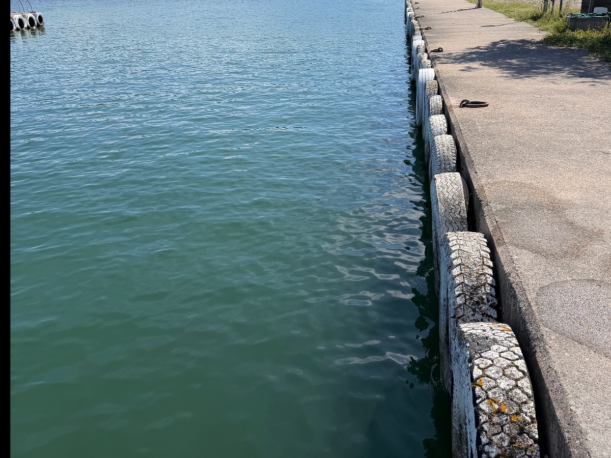 Själsö hamn bild 6