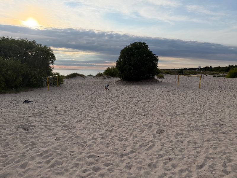 Bild från Tofta