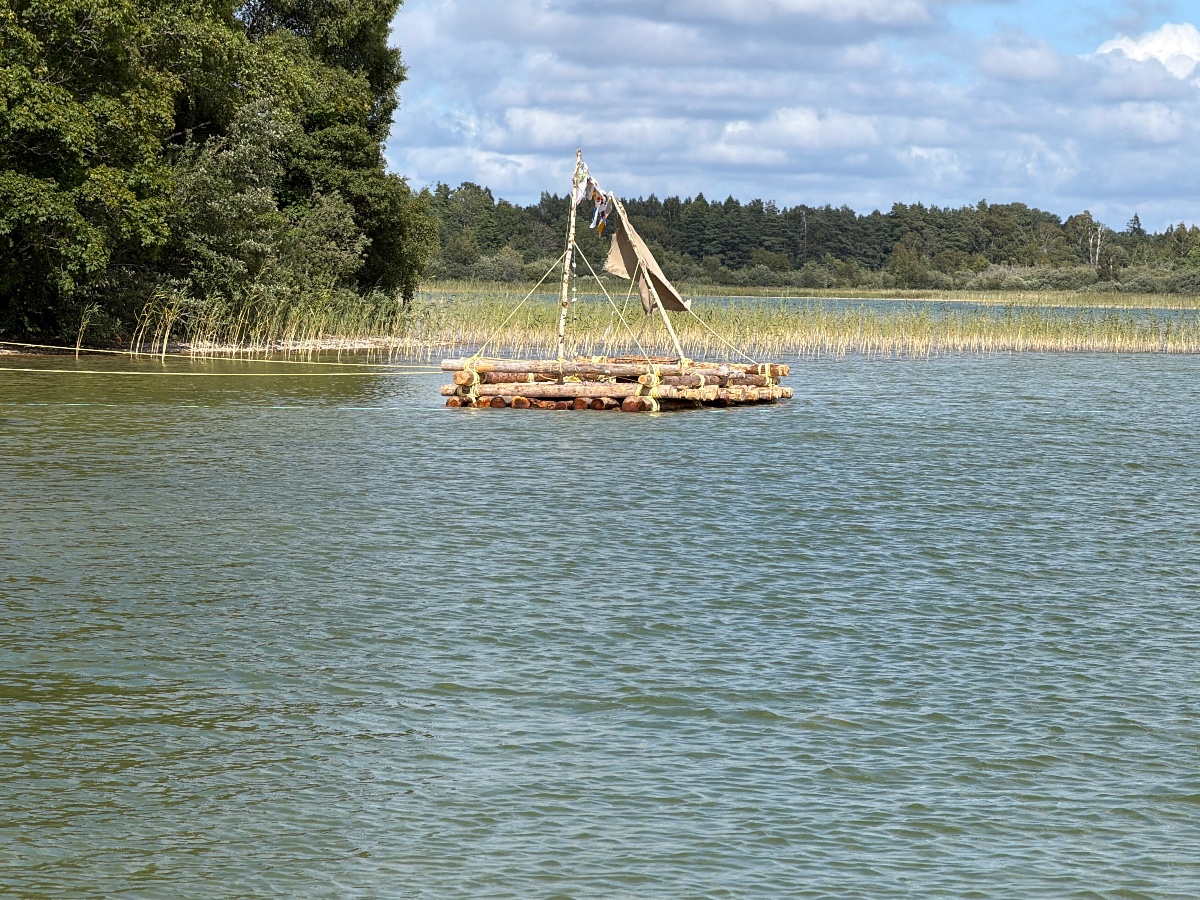 Tingstäde träsk bild 4