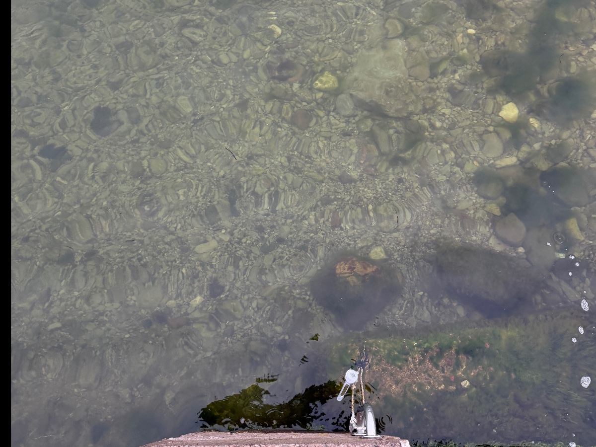 Själsö hamn bild 10