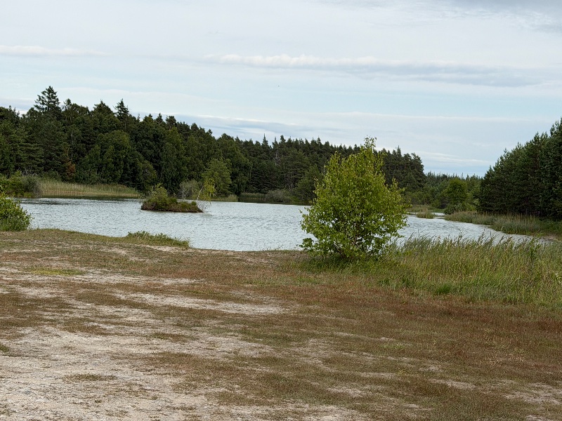 Bild från Tofta gropen