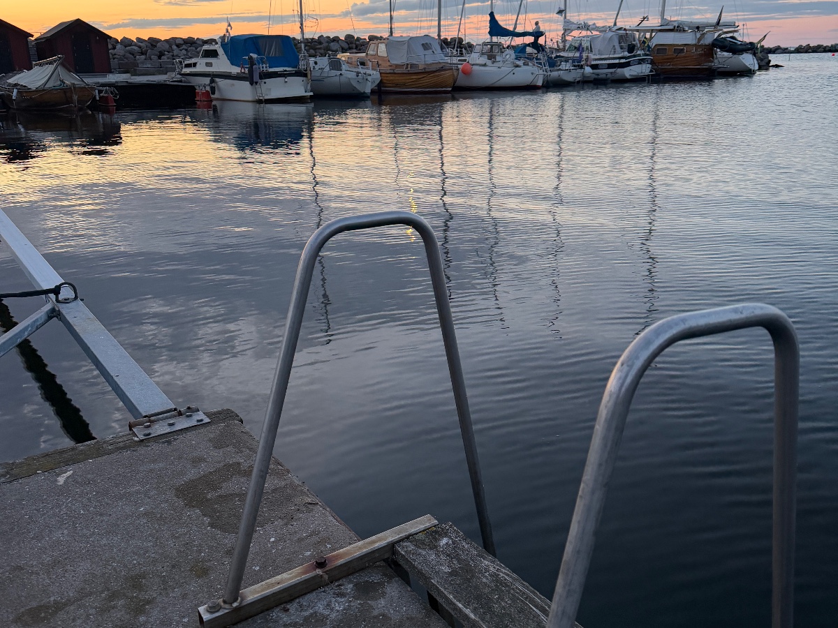 Flundreviken bild 4
