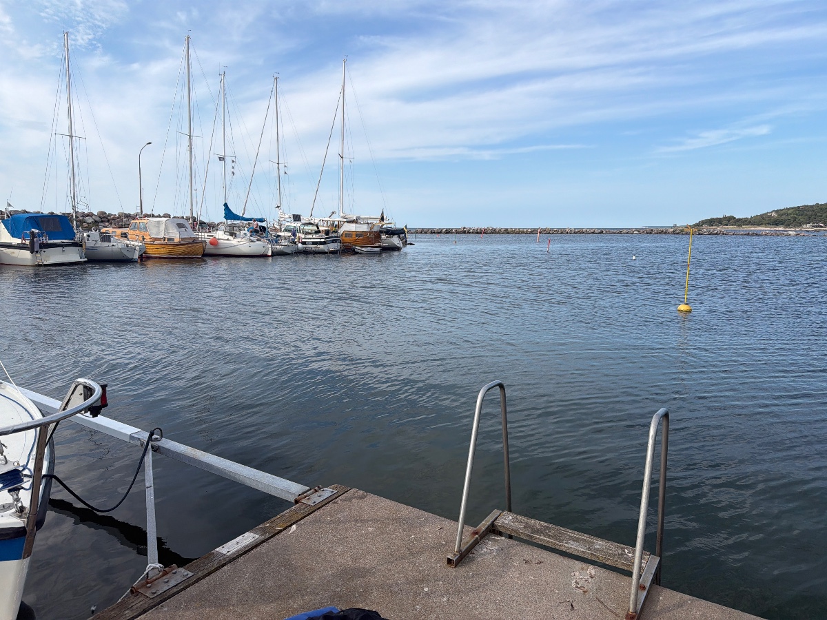 Flundreviken bild 6