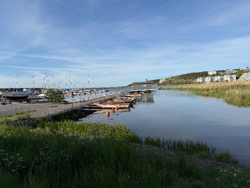 Bild från Flundreviken