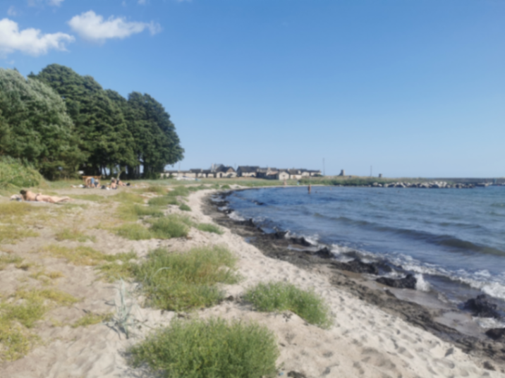 Grynge bild 2