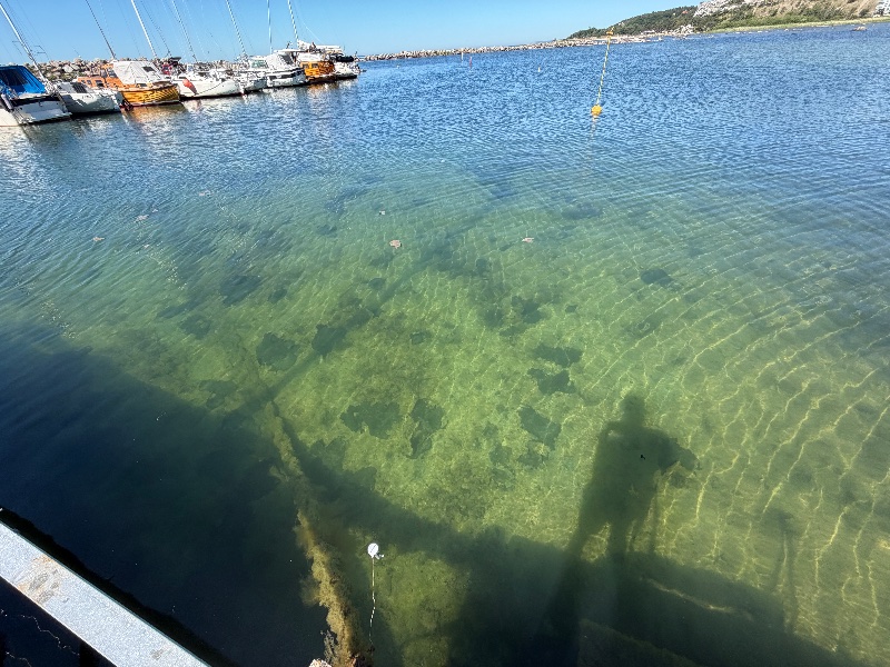 Bild från Flundreviken