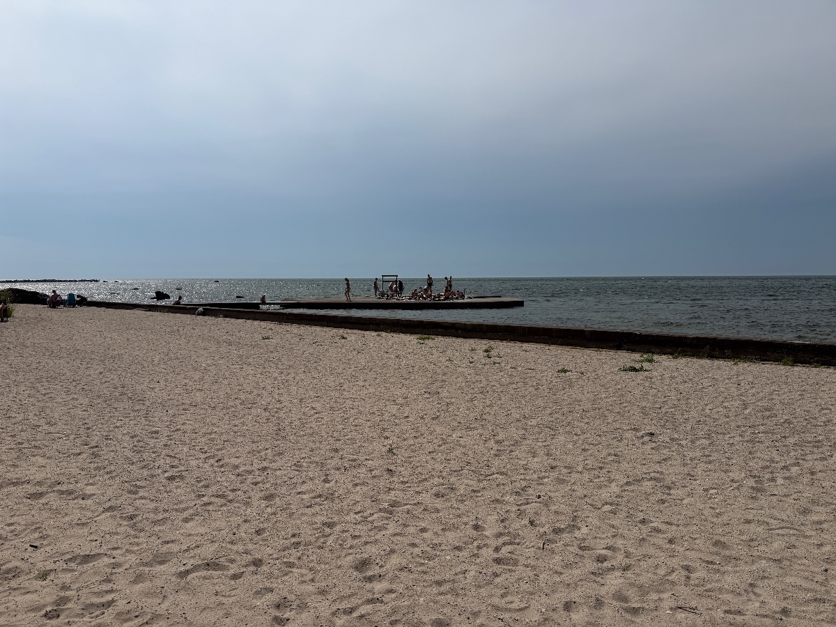 Snäck bild 5