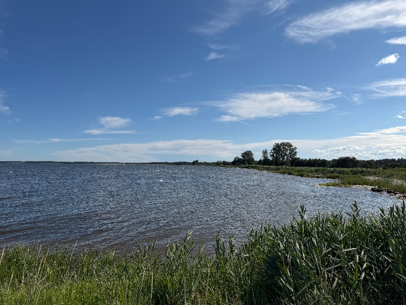 Bild från Lausviken