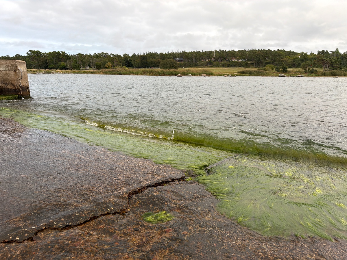 Själsö hamn bild 15