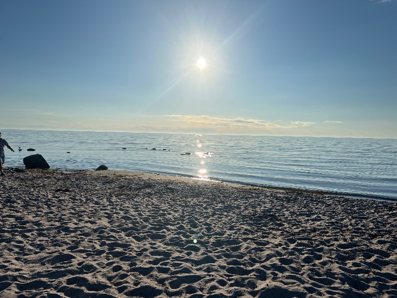 Bild från Tofta