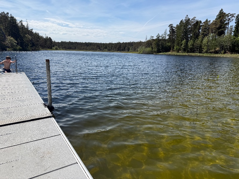 Bild från Bro träsk