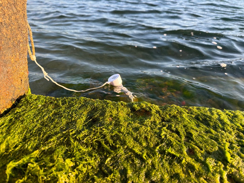 Bild från Själsö hamn