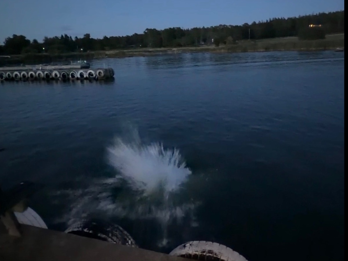 Själsö hamn bild 11