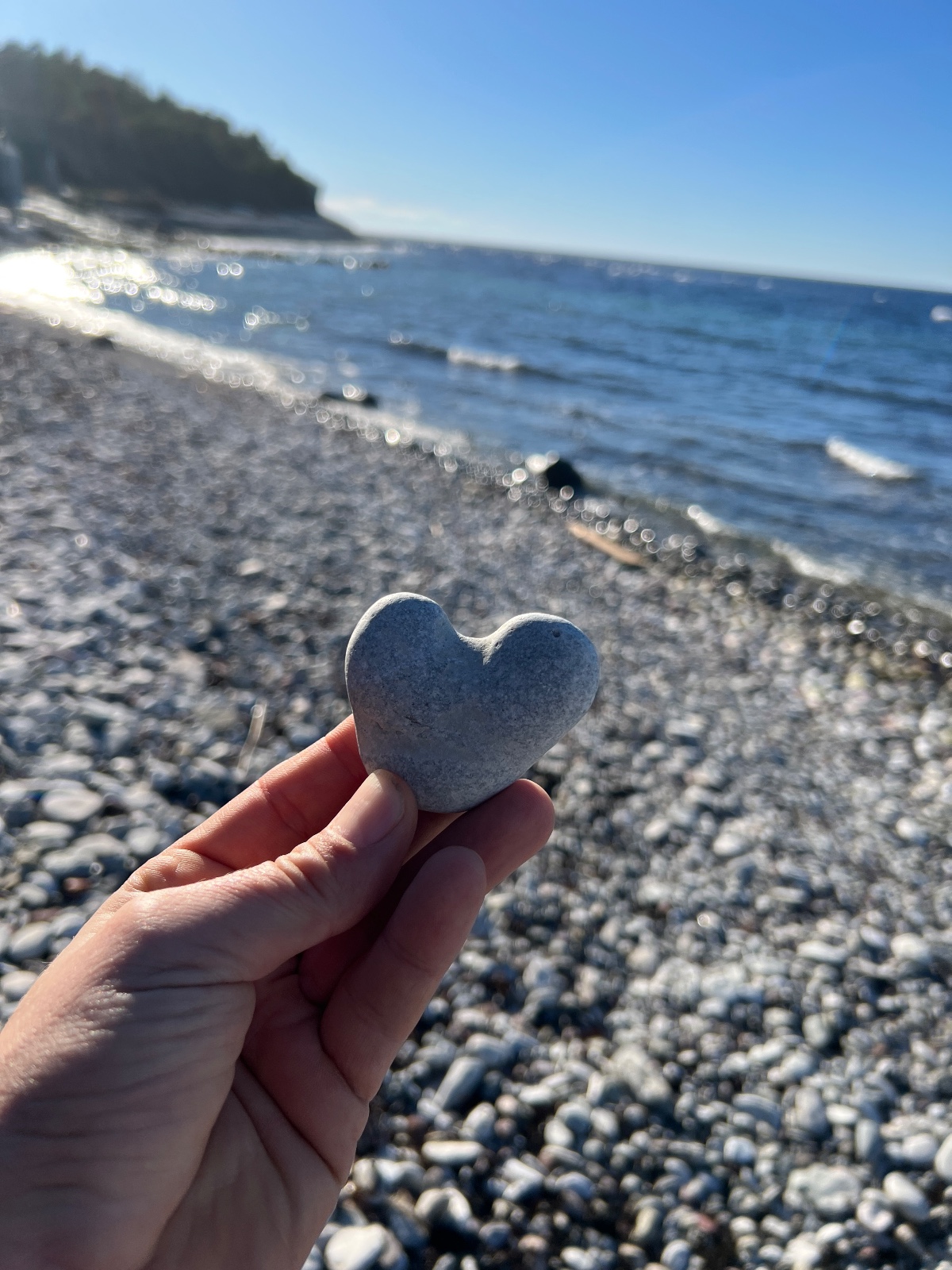 Bild från Ygne