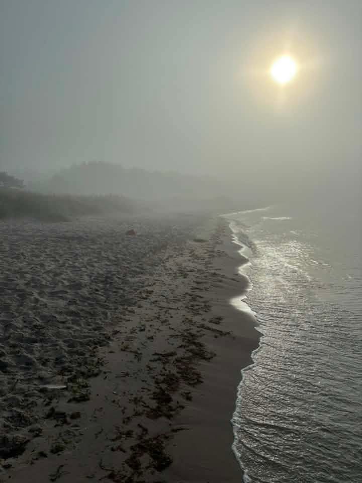 Austre bild 2