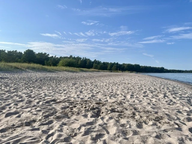 Bild från Vitviken