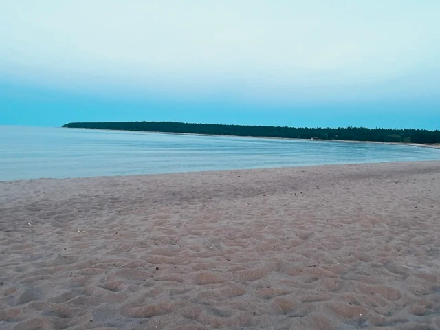 Vitviken bild 3