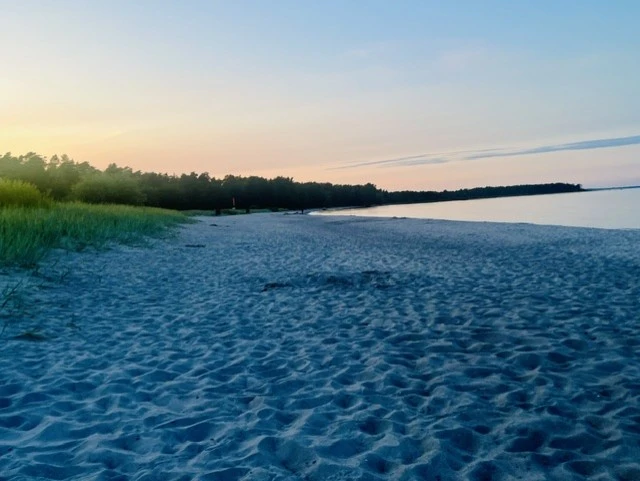 Vitviken bild 2