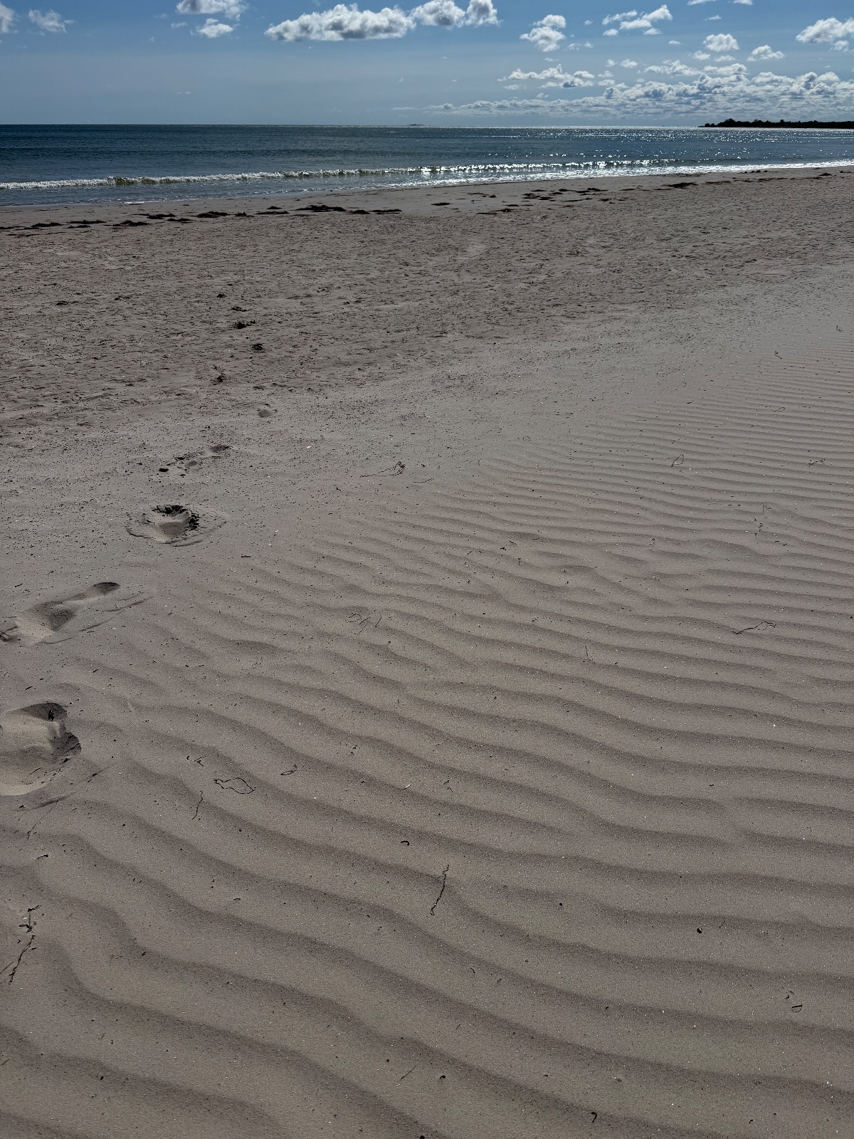 Sudersand bild 7