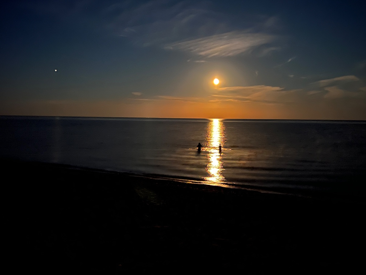 Bild från Mullvalds