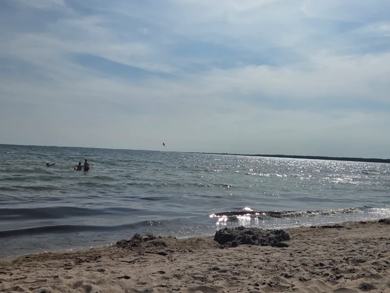 Bild från Sjauster