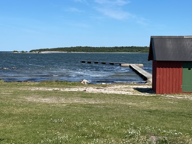 Bild från Katthammarsvik