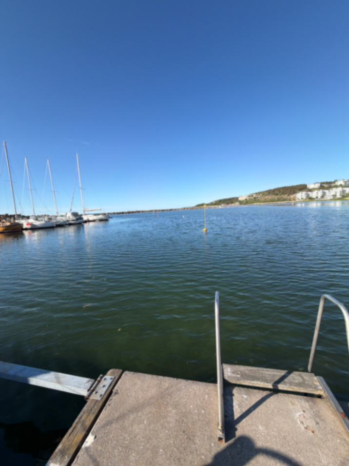 Flundreviken bild 11