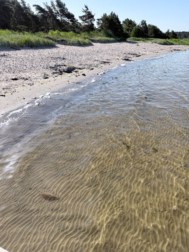 Bild från Björkhaga