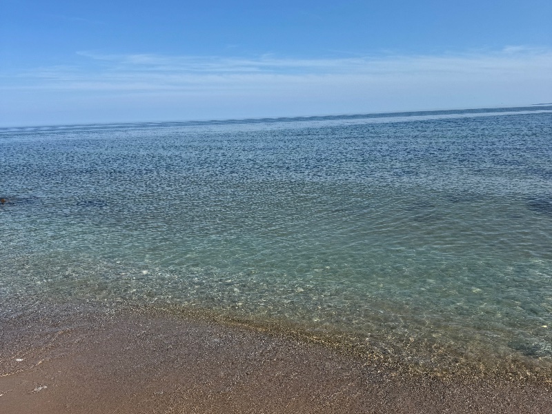 Bild från Fridhem