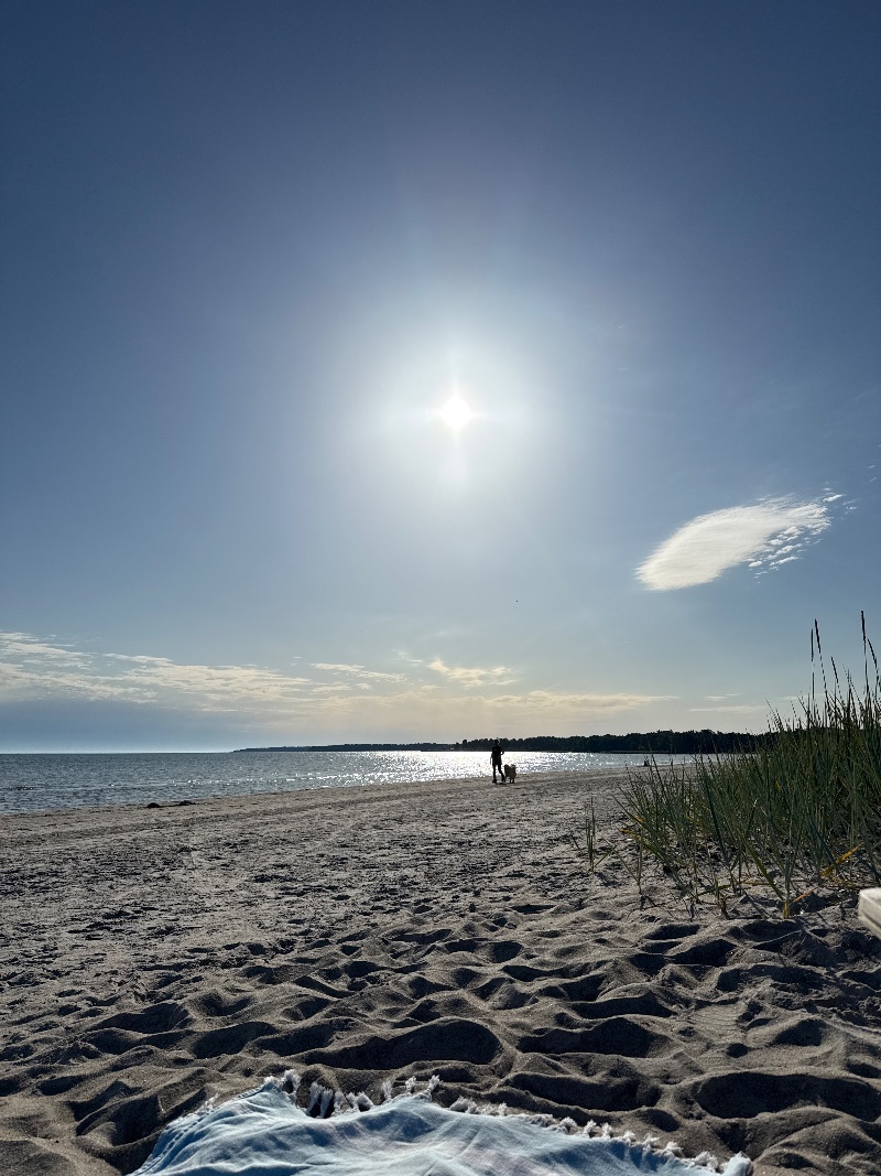 Bild från Ekeviken