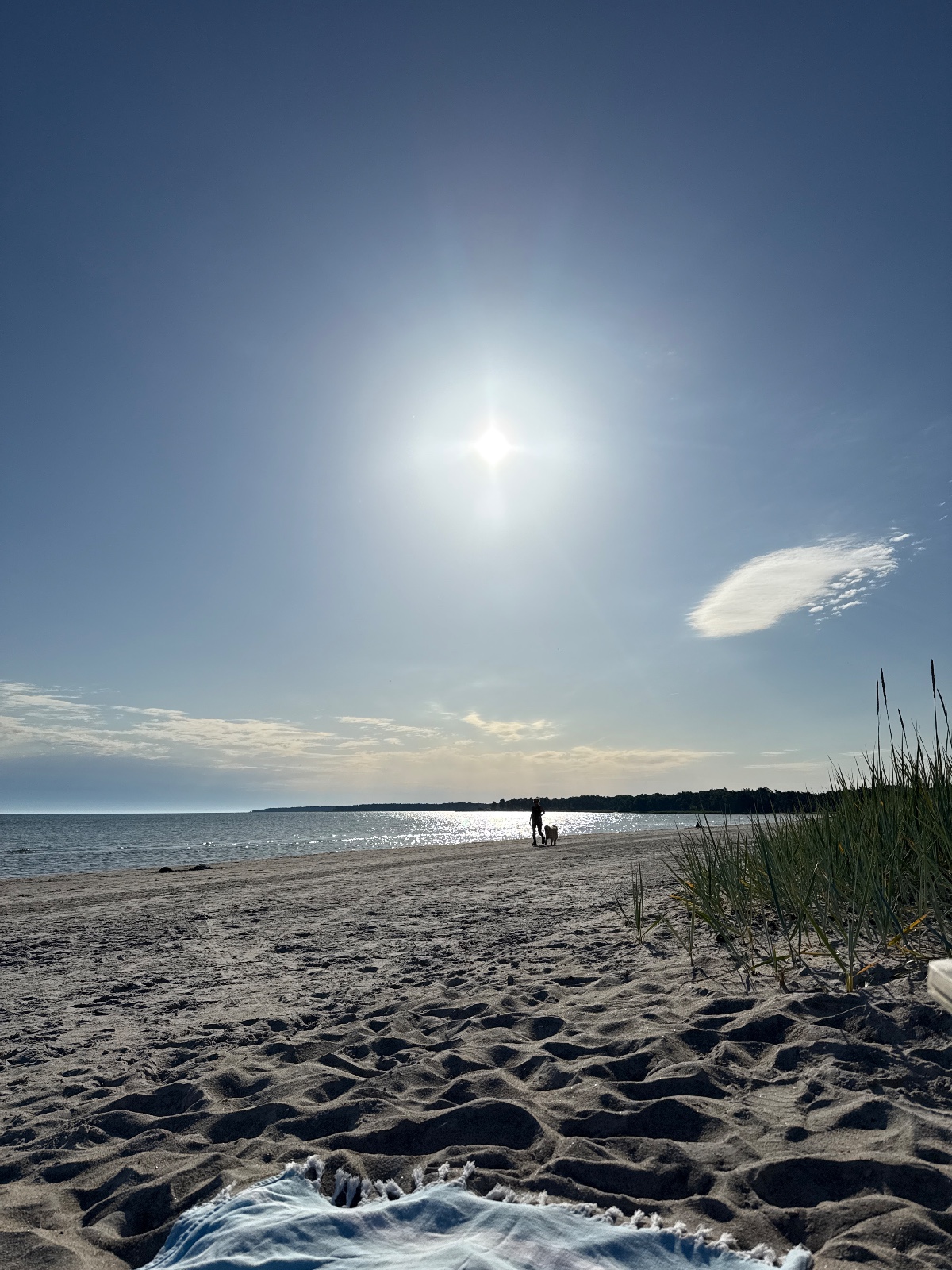 Ekeviken bild 2
