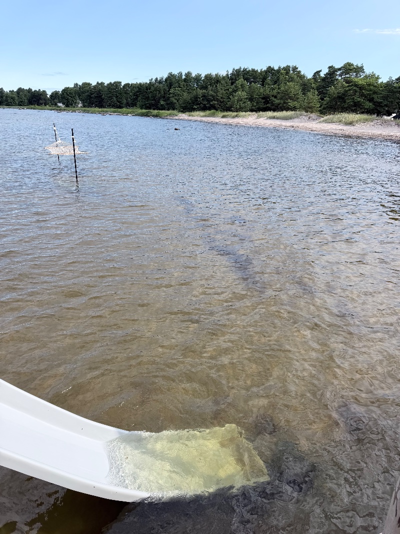 Bild från Björkhaga