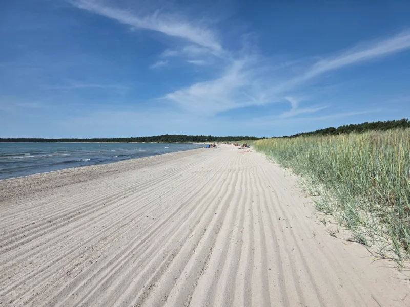 Bild från Sandviken
