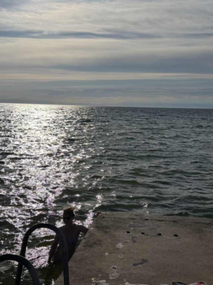Gustavsvik bild 5