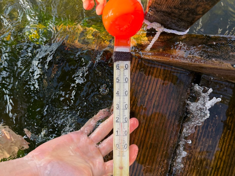 Bild från Burgsvik