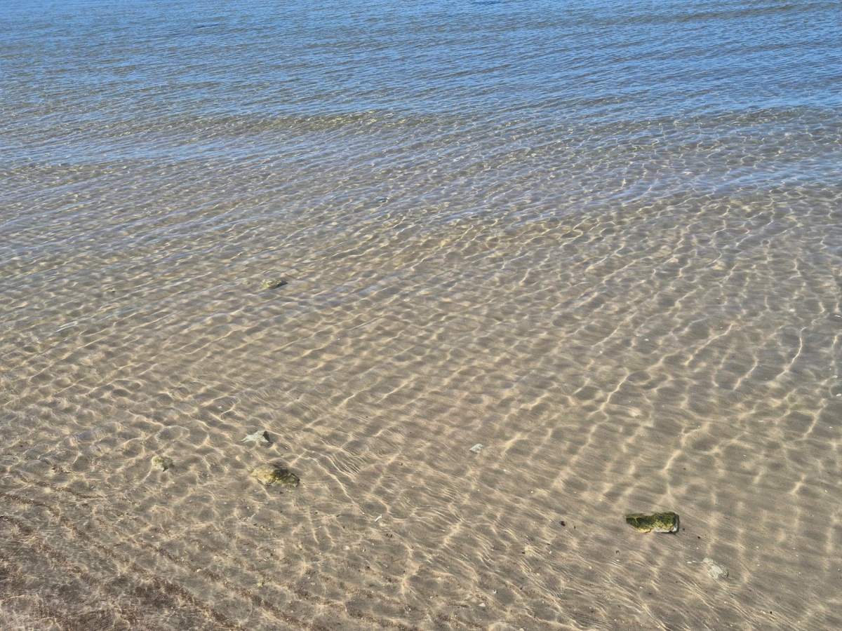 Ekeviken bild 5