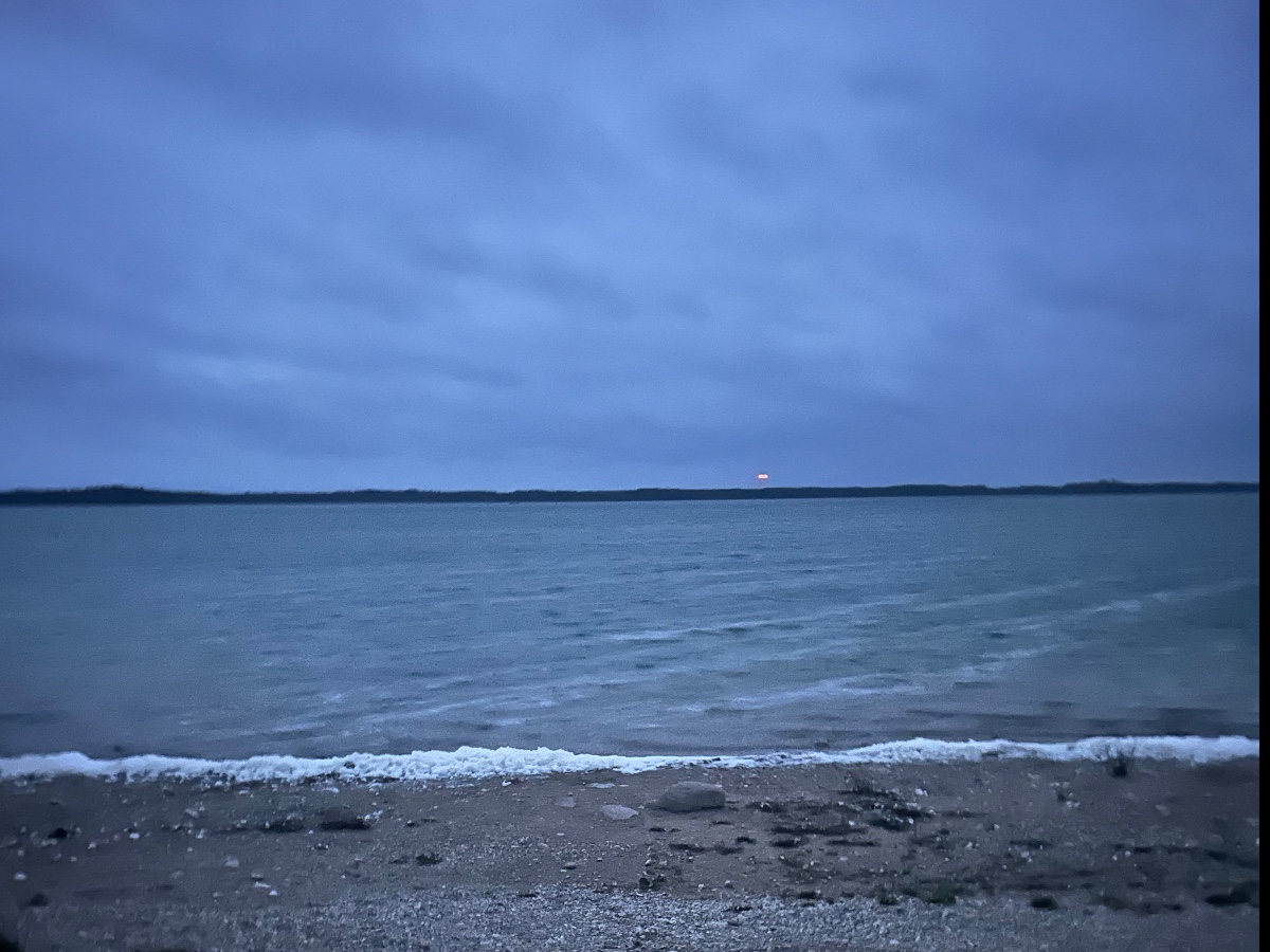 Tingstäde träsk bild 3