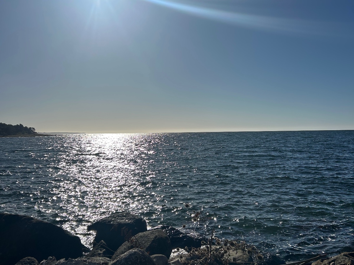 Själsö hamn bild 10