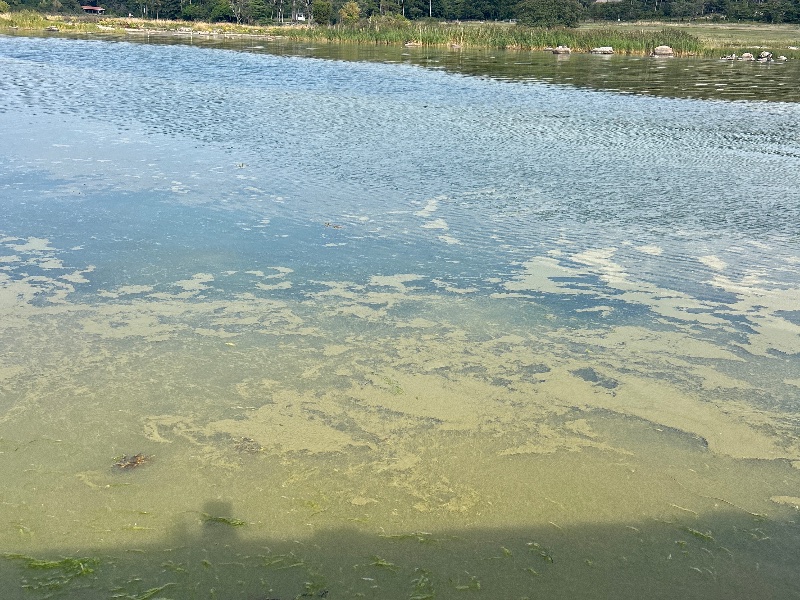 Bild från Själsö hamn