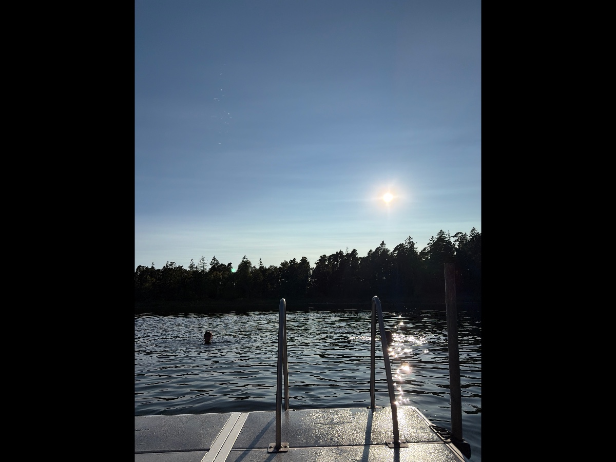 Bro träsk bild 2